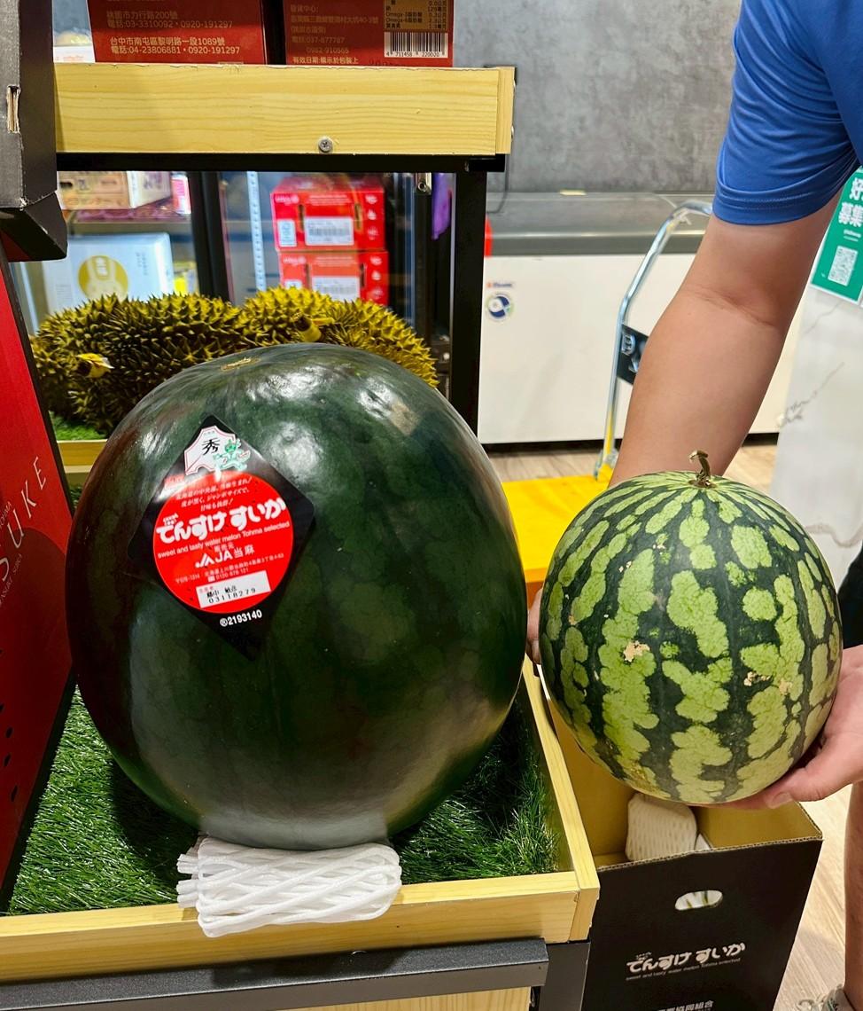 日本北海道・田助西瓜–極品黑皮西瓜| 果然美-鮮果舖